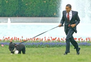 Барак Обама ссобакой на прогулке