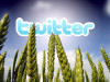Твиттер и урожай