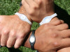Браслеты Power Balance. Реальная история Браслеты Power Balance. Реальная история