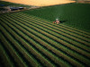 В Европе начинается захват сельскохозяйственных земель