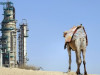 Саудовская Аравия готова обвалить цену на нефть до $20